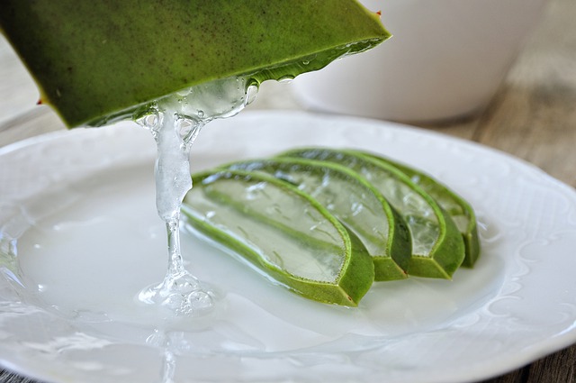 You are currently viewing Aloe Vera Skin Care, The Miracle Cure